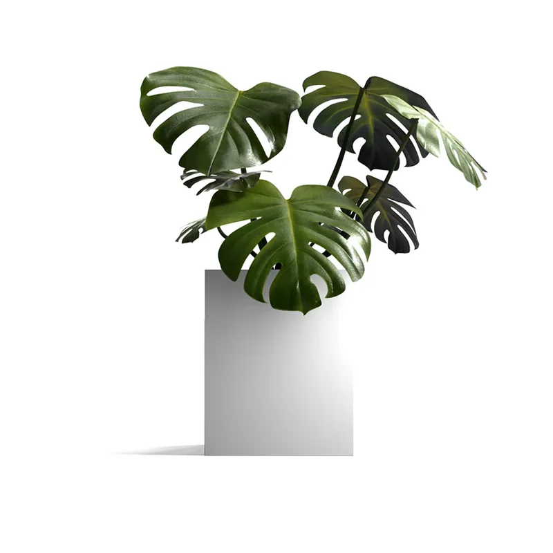 Plantador externo quadrado leve